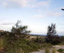 Little Bay